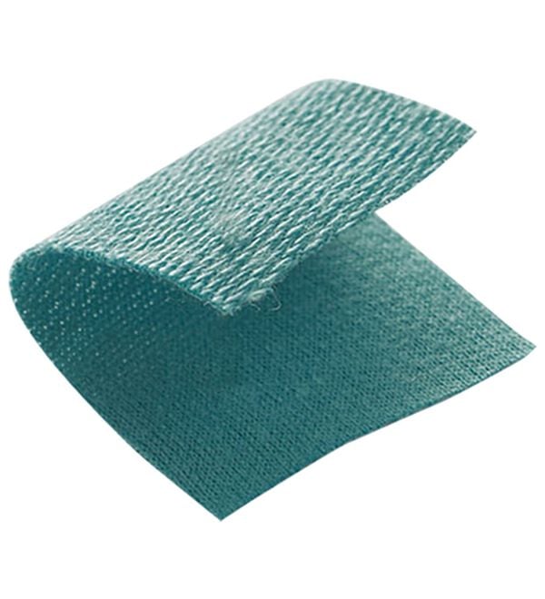 BELLUNA（ベルーナ）の「【ＰＯＬＯ　ＢＣＳ】ミニ裏毛素材デザイントップス（カットソー）」｜詳細画像