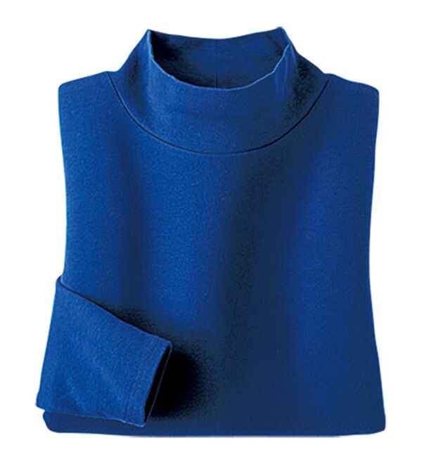 BELLUNA（ベルーナ）の「吸湿発熱ハイネックプルオーバー（カットソー）」｜ブルー