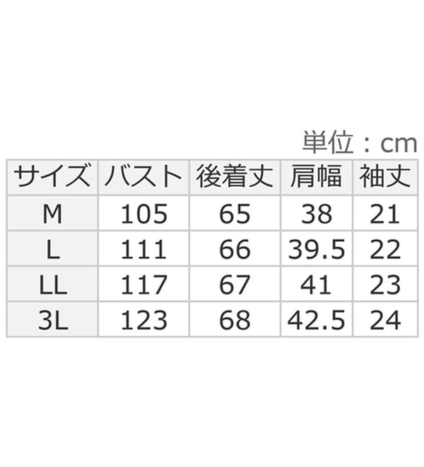 alotta（アロッタ）の「【イージーケア】バックフリルデザインブラウス（ブラウス）」｜詳細画像