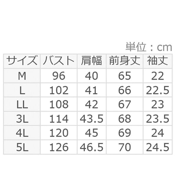 Viola e Viola（ヴィオラ エ ヴィオラ）の「【５つの機能付】袖シフォンゆるＴシャツ（Tシャツ）」｜詳細画像