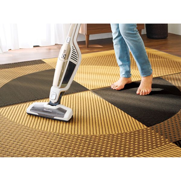 「柄が選べる純国産い草ラグ（い草ラグ）」｜詳細画像