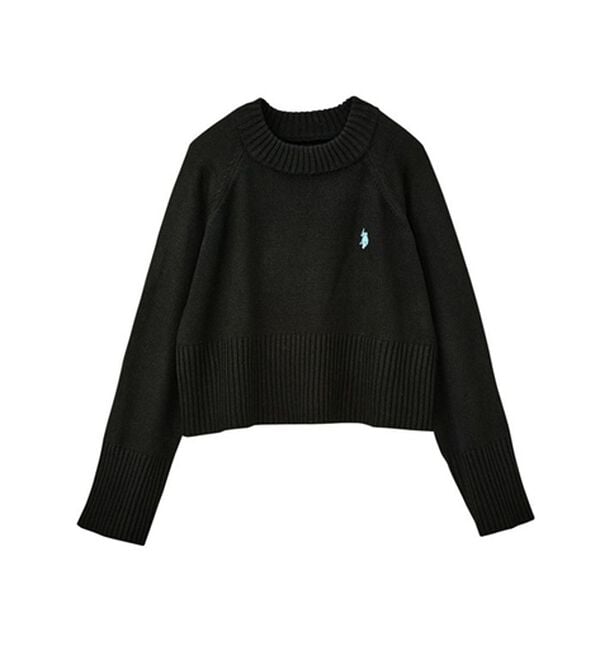 GeeRA（ジーラ）の「【ＵＳ．ＰＯＬＯ　ＡＳＳＮ】ショート丈ニット（ニット・セーター）」｜詳細画像