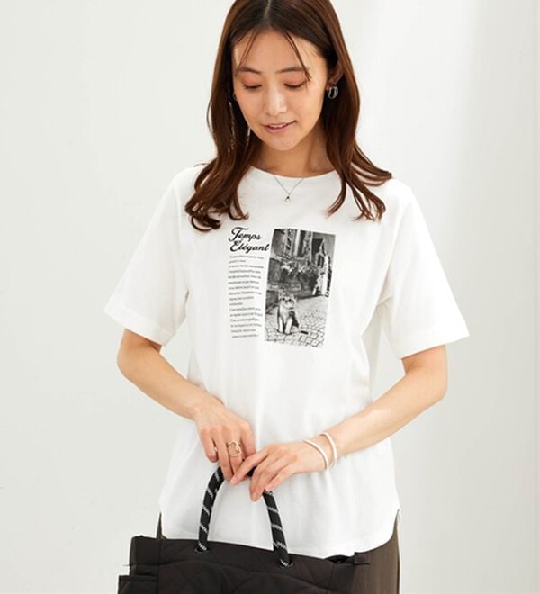 BELLUNA（ベルーナ）の「綿１００％着映えネコ柄プリントＴシャツ（Tシャツ）」｜詳細画像