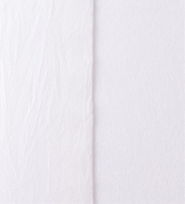 LAVIENNE（ラヴィエンヌ）の「【１０足組】ノーサポートストッキング（靴下・ストッキング）」｜ホワイト