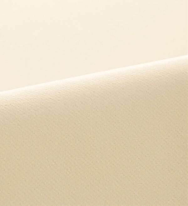 BELLUNA（ベルーナ）の「上品ツータックワイドパンツ（ワイドパンツ・ガウチョ）」｜詳細画像