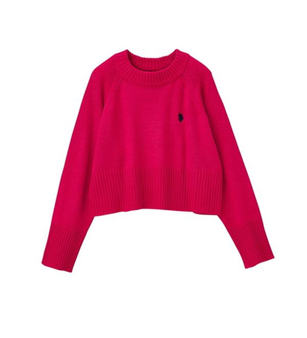 GeeRA（ジーラ）の「【ＵＳ．ＰＯＬＯ　ＡＳＳＮ】ショート丈ニット（ニット・セーター）」｜詳細画像