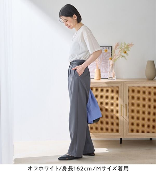 Viola e Viola（ヴィオラ エ ヴィオラ）の「ほんのり透け感綿混セミシアートップス（カットソー）」｜詳細画像