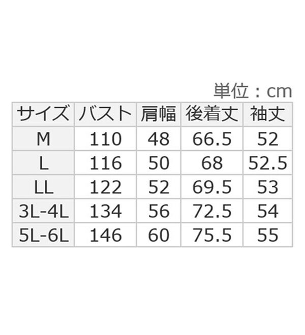 ルフラン（ルフラン）の「【２色組】リブ使いのほんわかブラウス（ブラウス）」｜詳細画像