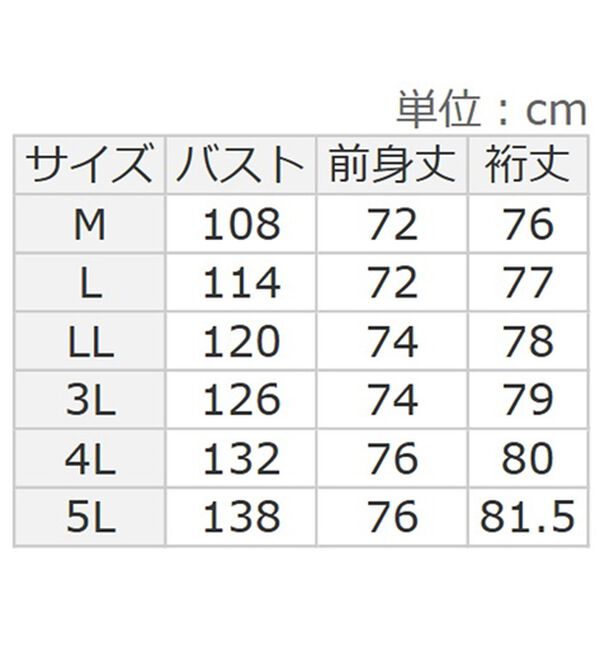 BELLUNA（ベルーナ）の「吸湿発熱ポンチ素材ゆったりチュニック（カットソー）」｜詳細画像
