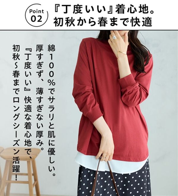 BELLUNA（ベルーナ）の「綿１００腰まわりゆったりリブデザインチュニック（カットソー）」｜詳細画像