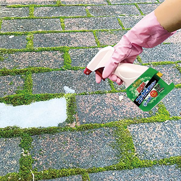 「業務用ガチ落ちコケ・カビ取り２本組（その他日用品）」｜詳細画像