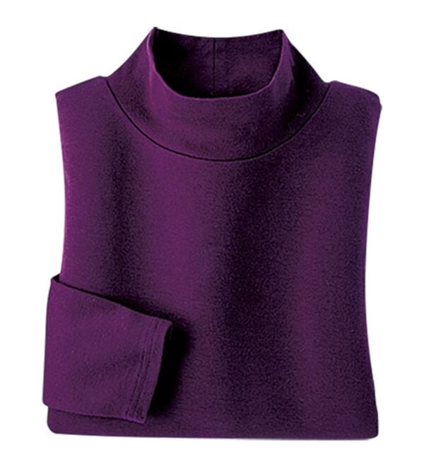 BELLUNA（ベルーナ）の「吸湿発熱ハイネックプルオーバー（カットソー）」｜詳細画像