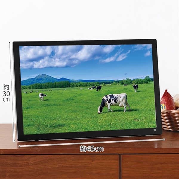 「録画もできるポータブル液晶テレビ（テレビ・オーディオ・カメラ機器）」｜詳細画像