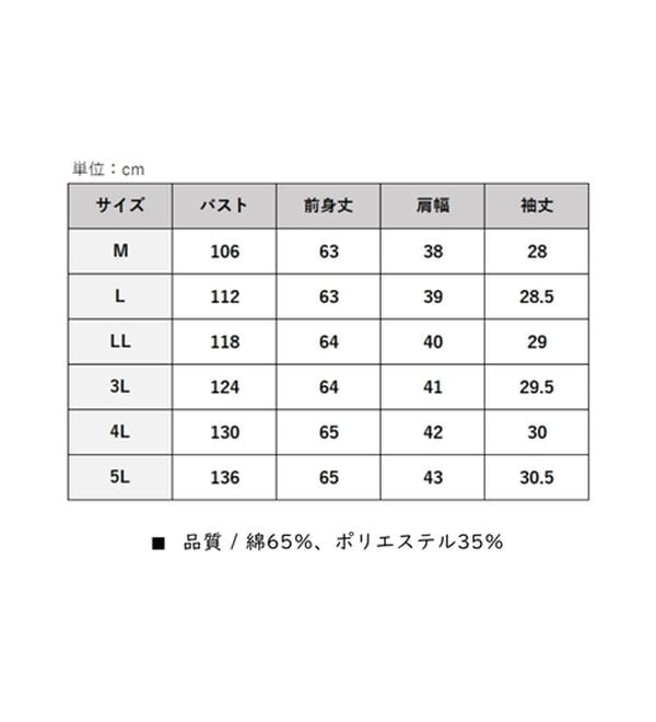 BELLUNA（ベルーナ）の「ヒンヤリ！袖タックデザインプルオーバー（カットソー）」｜詳細画像