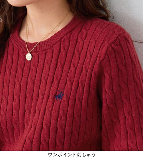 Viola e Viola（ヴィオラ エ ヴィオラ）の「【ビバリーヒルズポロクラブ】ケーブル柄ショートニット（ニット・セーター）」｜詳細画像