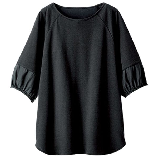 BELLUNA（ベルーナ）の「袖シアー切替デザインプルオーバー（カットソー）」｜詳細画像