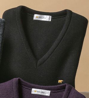 「＜ゴールデンベア＞国産上質ニットベスト（メンズベスト）」｜ブラック