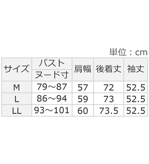 Viola e Viola（ヴィオラ エ ヴィオラ）の「袖ボリュームウエストタックシャツ（シャツ）」｜詳細画像