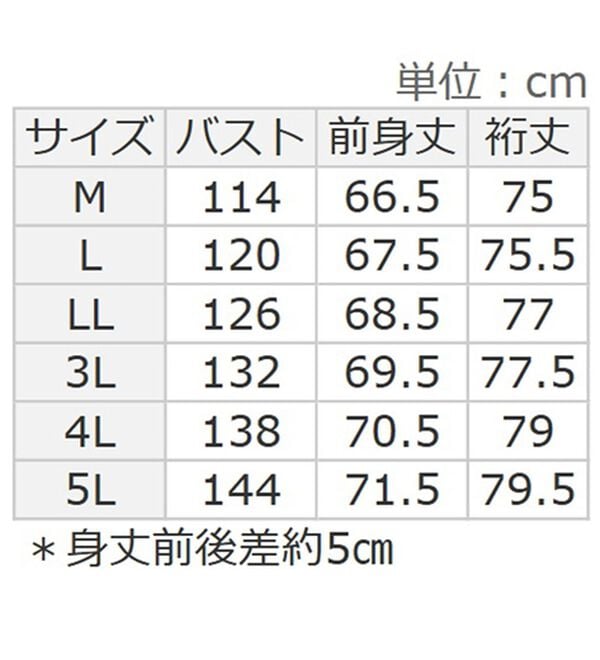 BELLUNA（ベルーナ）の「重ね着風とろみ素材プルオーバー（カットソー）」｜詳細画像