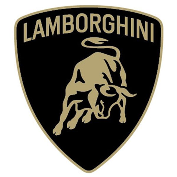 「ラジコン　ランボルギーニ（おもちゃ・ぬいぐるみ）」｜詳細画像