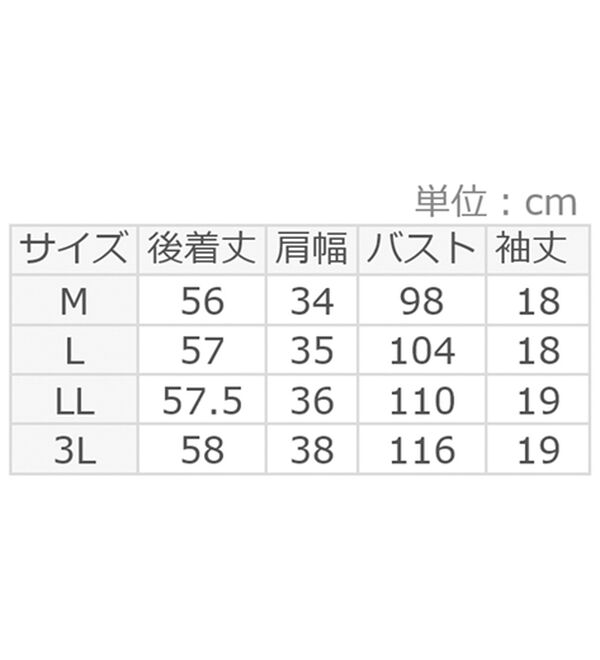alotta（アロッタ）の「フリルデザインブラウス（ブラウス）」｜詳細画像