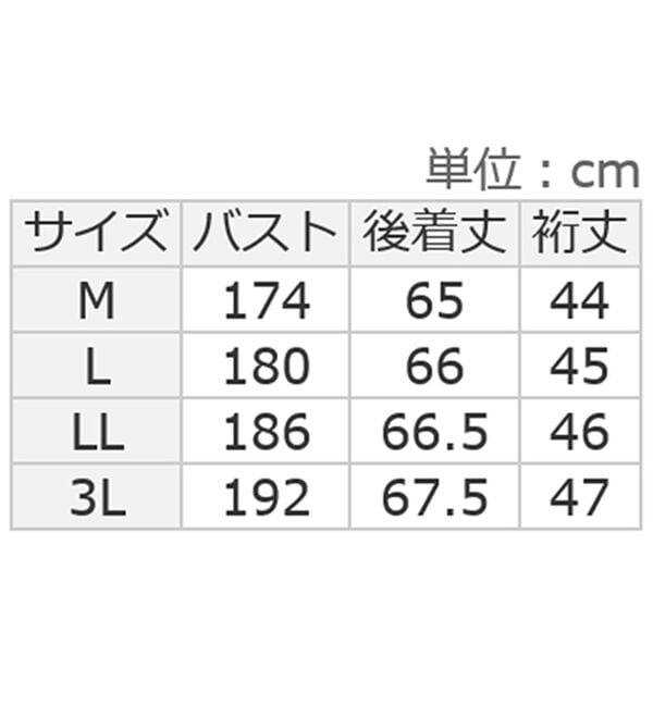 Viola e Viola（ヴィオラ エ ヴィオラ）の「華奢見えドルマンスリーブブラウス（ブラウス）」｜詳細画像