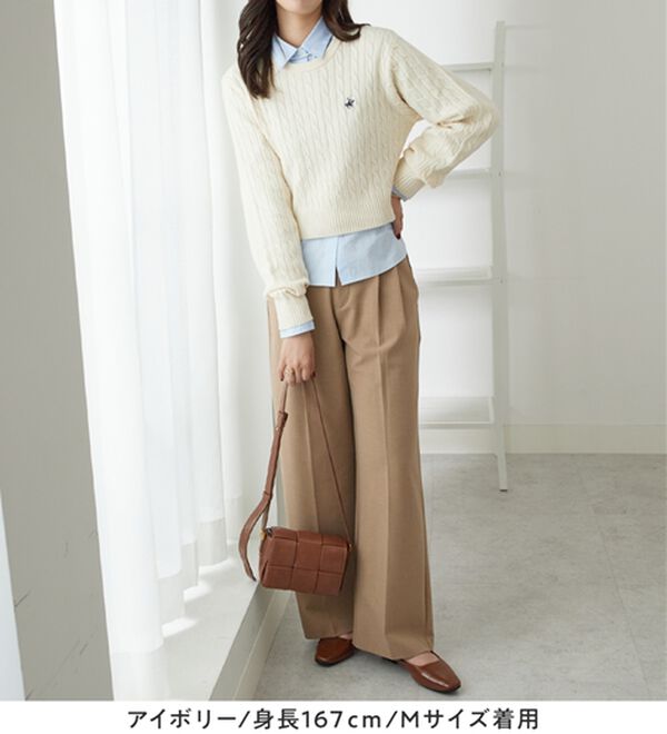 Viola e Viola（ヴィオラ エ ヴィオラ）の「【ビバリーヒルズポロクラブ】ケーブル柄ショートニット（ニット・セーター）」｜詳細画像