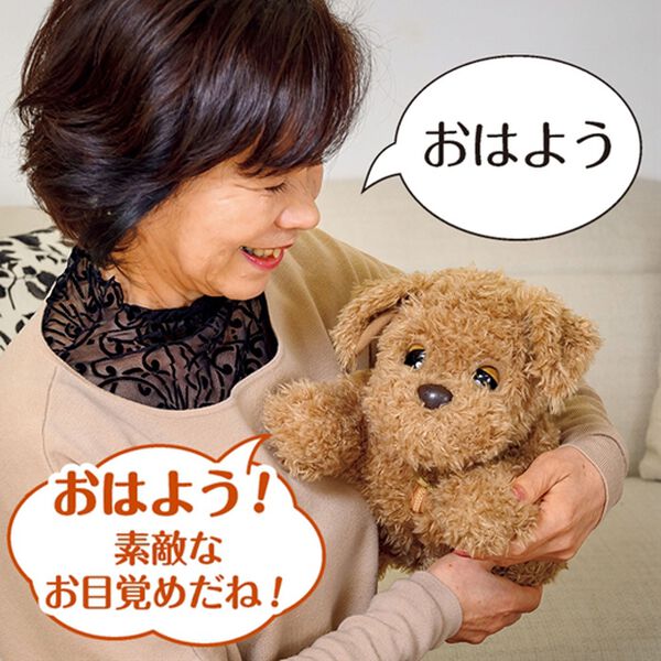 「ヒーリングパートナー　もっとおりこうダッキー（ホビー・アート・ＤＶＤ）」｜詳細画像