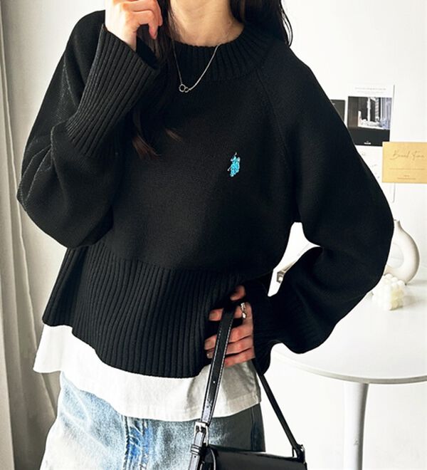 GeeRA（ジーラ）の「【ＵＳ．ＰＯＬＯ　ＡＳＳＮ】ショート丈ニット（ニット・セーター）」｜詳細画像