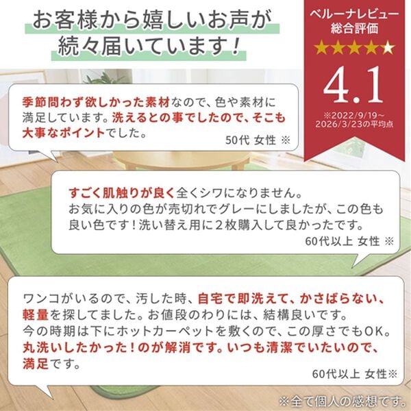 「洗えるはっ水フランネルラグ＜ホットカーペット対応・撥水・洗濯可能＞（カーペット）」｜詳細画像