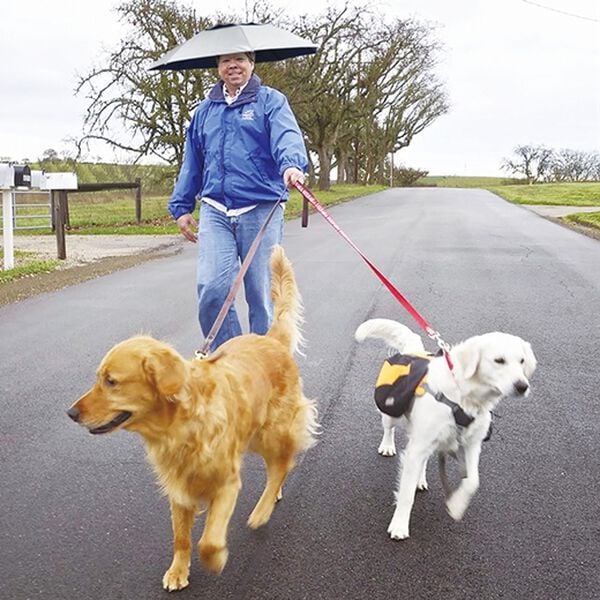 「両手が使える手ぶら傘　２本組（その他日用品）」｜詳細画像