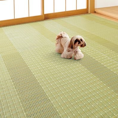 「洗える日本製い草風上敷（カーペット）」