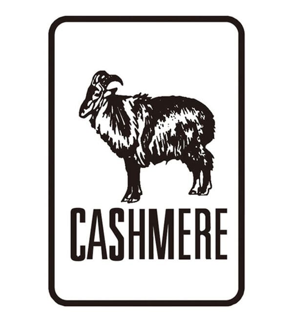 VINNO（ヴィノ）の「贅沢カシミヤ衿リブニットプルオーバー（ニット・セーター）」｜詳細画像