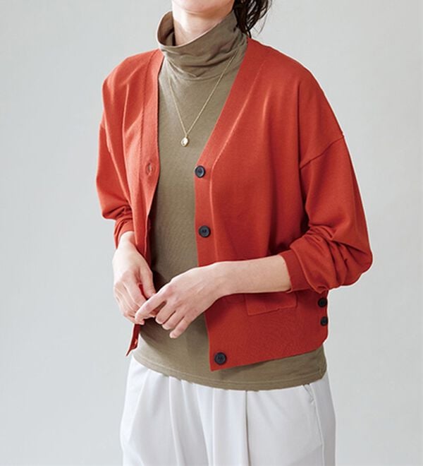 LAVIENNE（ラヴィエンヌ）の「【極カシミヤ入り】シアー素材タートルネックインナー（肌着・インナーウェア）」｜詳細画像