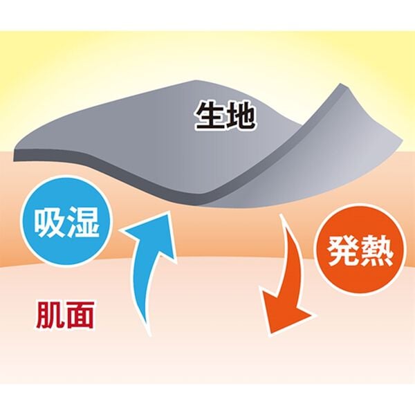 BELLUNA（ベルーナ）の「吸湿発熱ポンチ素材袖デザインプルオーバー（カットソー）」｜詳細画像