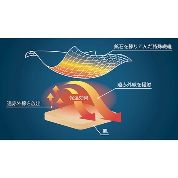 「Ｄｒ．ｓ　ＢＮ　ＬＡＢＯ　タイツ（靴下・ストッキング）」｜詳細画像