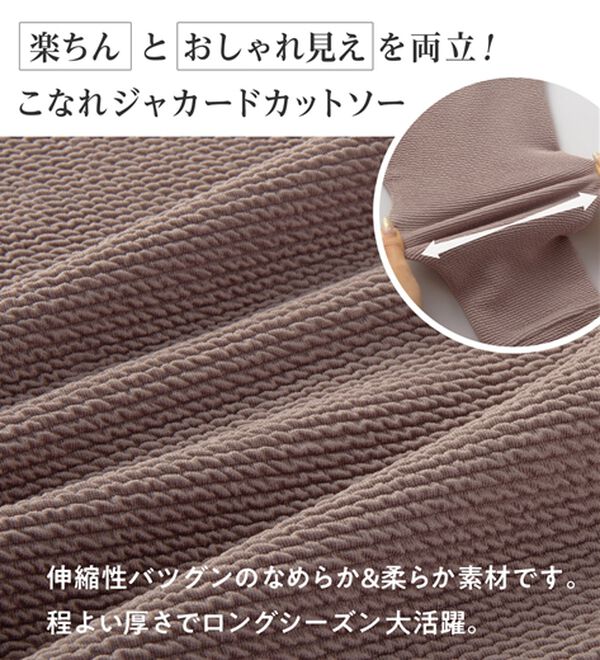 Viola e Viola（ヴィオラ エ ヴィオラ）の「ふくれジャカードドルマントップス（カットソー）」｜詳細画像