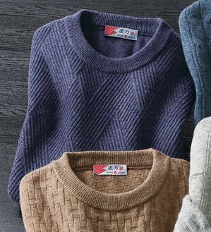 「日本製ウールカシミヤブレンドセーター（メンズニット・セーター）」｜パープル