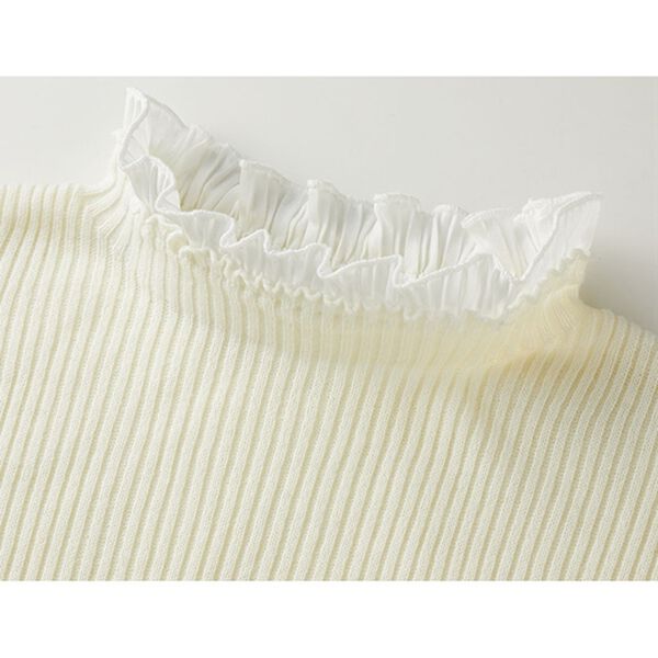 GeeRA（ジーラ）の「プリーツ付ハイネックリブニットトップス（ニット・セーター）」｜詳細画像