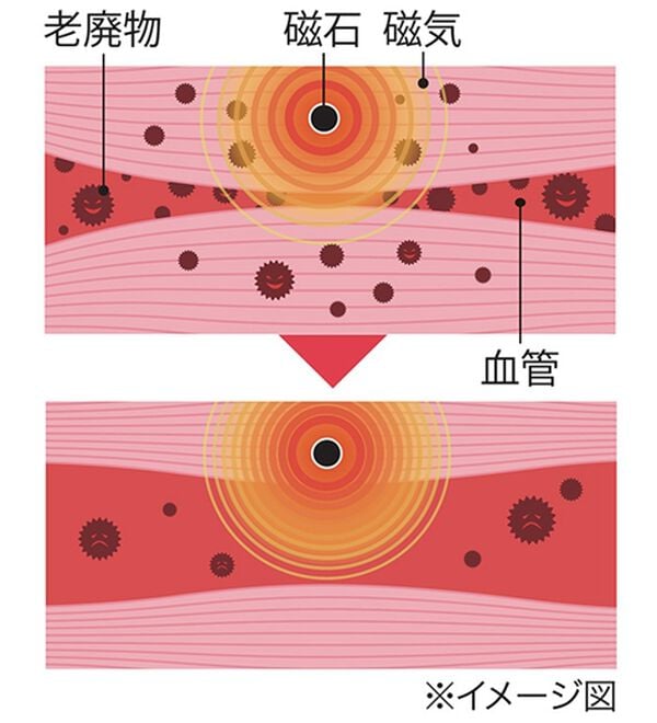 「履きながらリカバリー足もとからサポートするインソール（シューケア・靴関連小物）」｜詳細画像