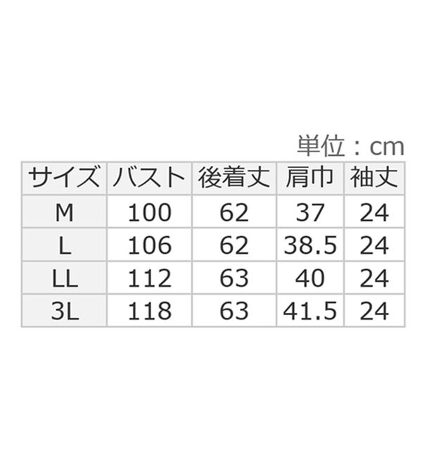 alotta（アロッタ）の「上品細見えピンタックブラウス（ブラウス）」｜詳細画像