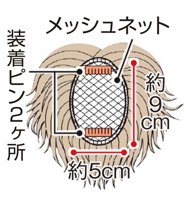 「人毛１００％　お買得　つむじピース（ウィッグ・ヘアピース・エクステ）」｜詳細画像