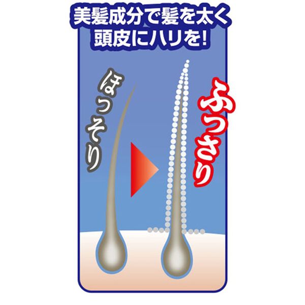 「ふんわりヘアカラーシルバー極（きわみ）（ヘアケア・ドライヤー）」｜詳細画像