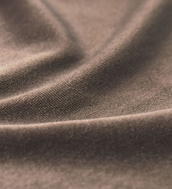 BELLUNA（ベルーナ）の「艶やかシアーベロア袖シャーリングプルオーバー（カットソー）」｜詳細画像