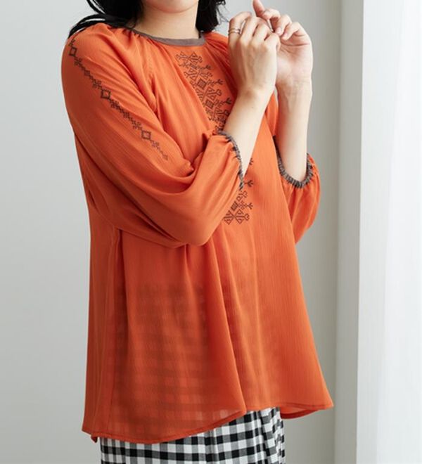 BELLUNA（ベルーナ）の「シフォン素材刺しゅうデザインブラウス（ブラウス）」｜詳細画像