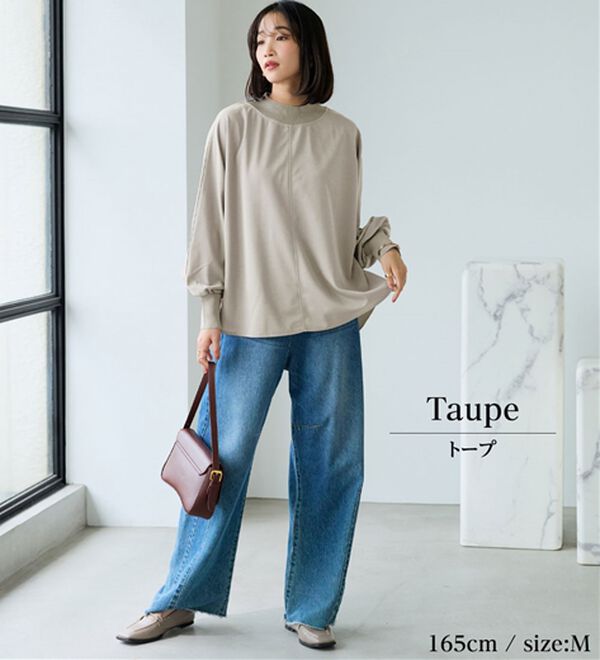BELLUNA（ベルーナ）の「Ｔシャツ感覚なのにきちんとブラウス見え！カットジョーゼットプルオーバー（ブラウス）」｜詳細画像