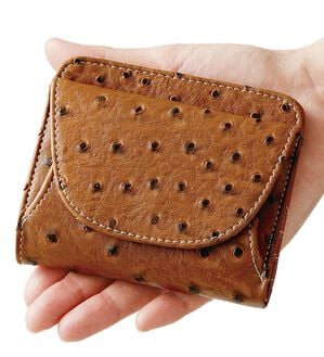 「オーストリッチ風型押しコンパクト財布（財布・パスケース）」｜詳細画像