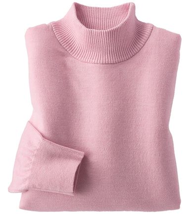 BELLUNA（ベルーナ）の「＜極み編＞肌心地ふんわりハイネックニット（ニット・セーター）」