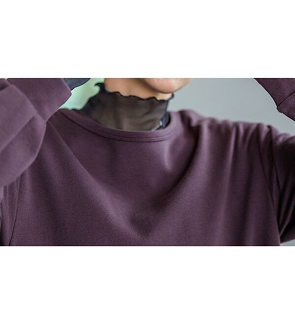 BELLUNA（ベルーナ）の「【重ね着インナー】シアー素材ハイネックインナープルオーバー（カットソー）」｜詳細画像