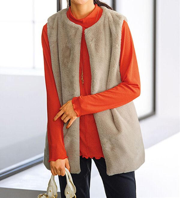 BELLUNA（ベルーナ）の「シアー楊柳素材ハイネックプルオーバー（カットソー）」｜詳細画像